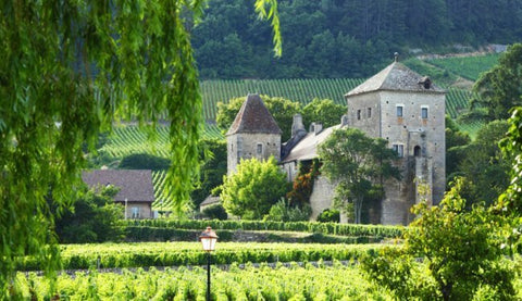 Gevrey -Chambertin