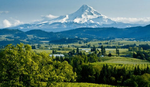 Willamette Valley