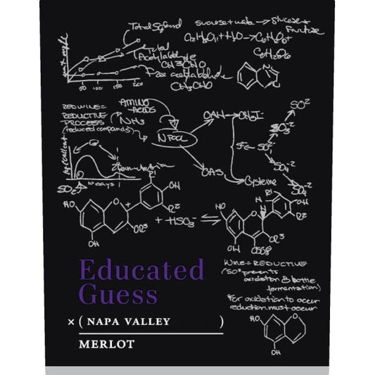 Educated Guess Merlot Napa Valley 750ml - Amsterwine - Wine - Educated Guess