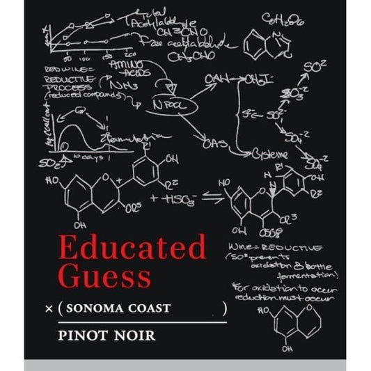 Educated Guess Pinot Noir Sonoma 750ml - Amsterwine - Wine - Educated Guess