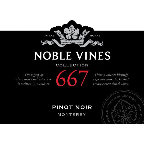 Noble Vines 667 Pinot Noir 750ml - Amsterwine - Wine - Noble Vine