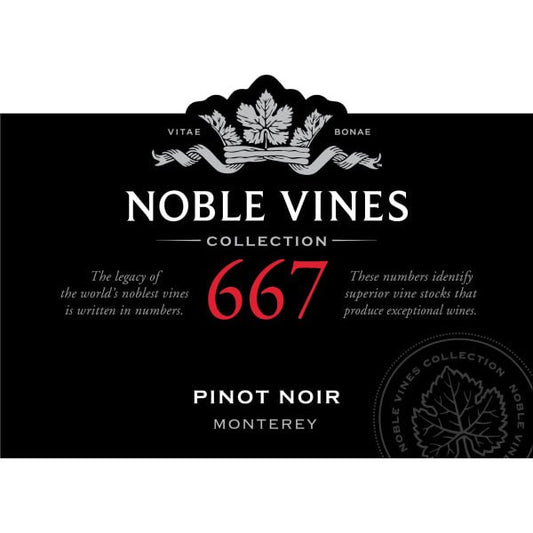 Noble Vines 667 Pinot Noir 750ml - Amsterwine - Wine - Noble Vine