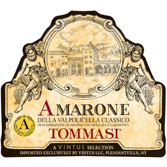 Tommasi Amarone Classico 750ml - Amsterwine - Wine - Tommasi