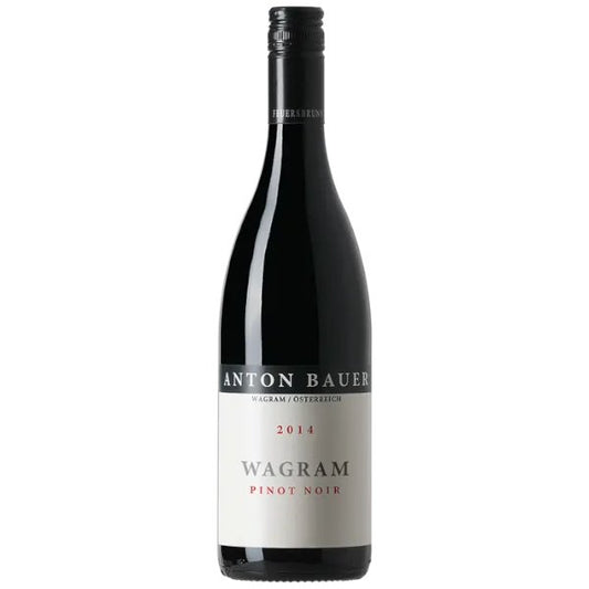 Anton Bauer Pinot Noir Wagram 750ml - Amsterwine - Wine - Belle Glos
