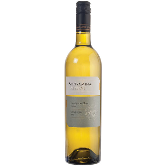 Binyamina Sauvignon Blanc Reserve 750ml - Amsterwine - Wine - Binyamina