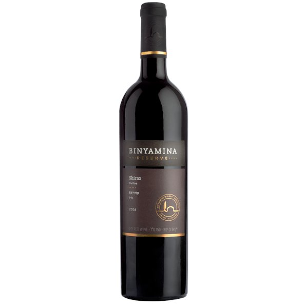 Binyamina Shiraz Reserve 750ml - Amsterwine - Wine - Binyamina