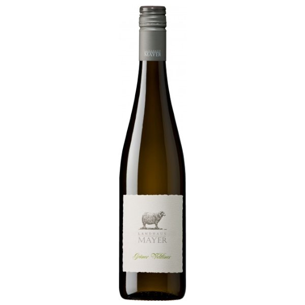 Landhaus Mayer Gruner Veltliner 750ml - Amsterwine - Wine - Grooner Gruner