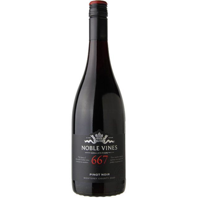 Noble Vines 667 Pinot Noir 750ml - Amsterwine - Wine - Noble Vine